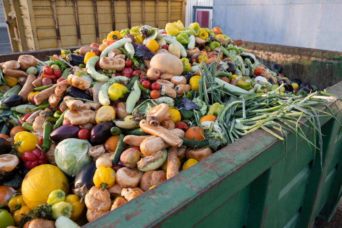 Trois conseils pour réduire le gaspillage alimentaire chez vous C est