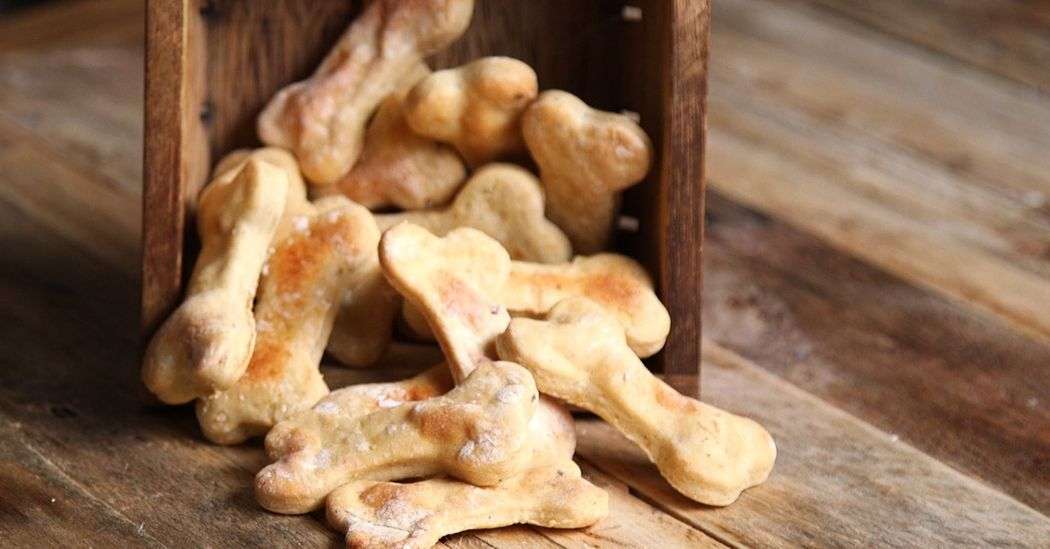 Rendez votre chien heureux avec ces friandises faites maison - C'est